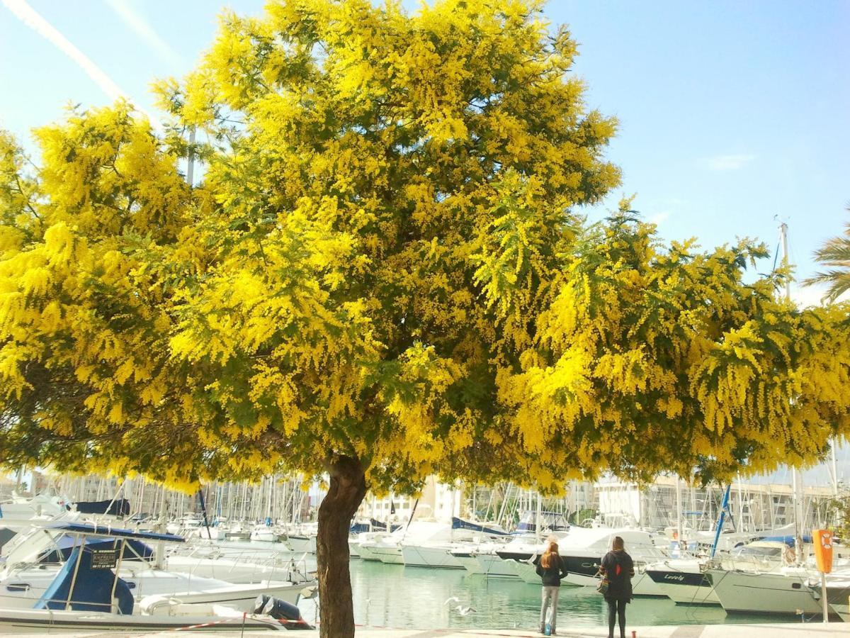 Residence Golfs De Valescure 9 Saint-Raphaël 外观 照片