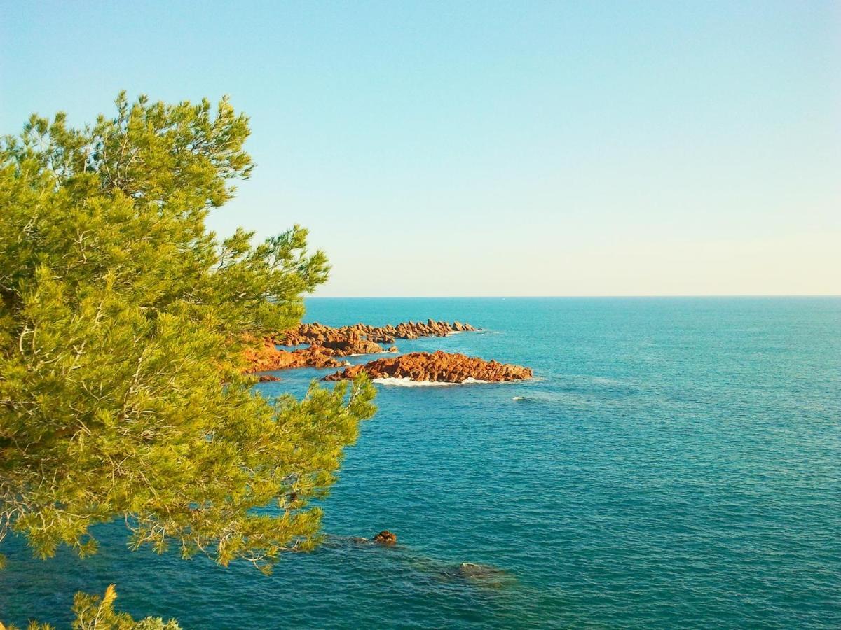 Residence Golfs De Valescure 9 Saint-Raphaël 外观 照片