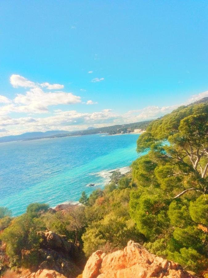Residence Golfs De Valescure 9 Saint-Raphaël 外观 照片
